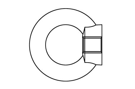 SIM 582 - Lifting eye nuts, similar DIN 582