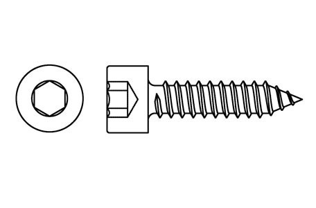 HX 10012 - Hexagon socket self tapping screws