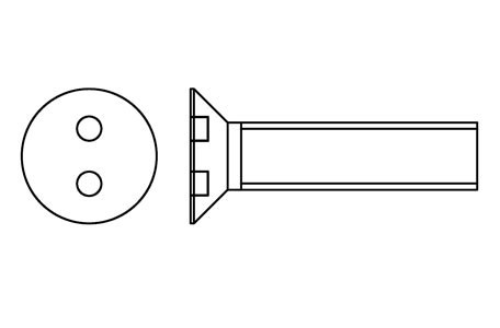 HX 10039 - Security screws